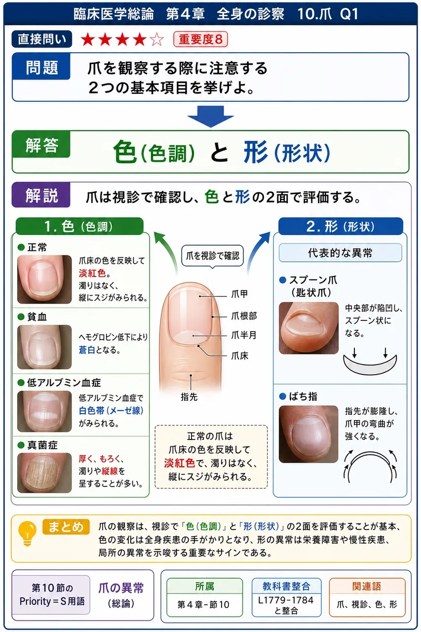爪を観察する際に注意する2つの基本項目を挙げよ。 解説図