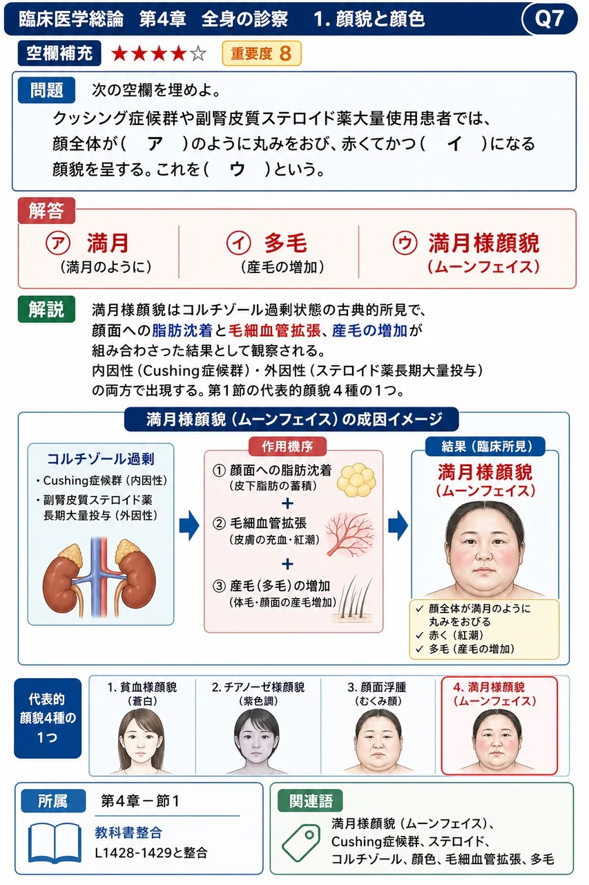 次の空欄を埋めよ。 「クッシング症候群や副腎皮質ステロイド薬大量使用患者では、顔全体が( ア )のように丸みをおび、赤くてかつ( イ )になる顔貌を呈する。これを( ウ )という。」 解説図