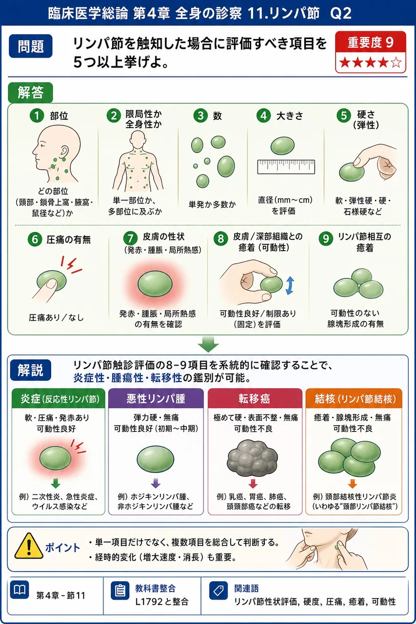 リンパ節を触知した場合に評価すべき項目を5つ以上挙げよ。 解説図