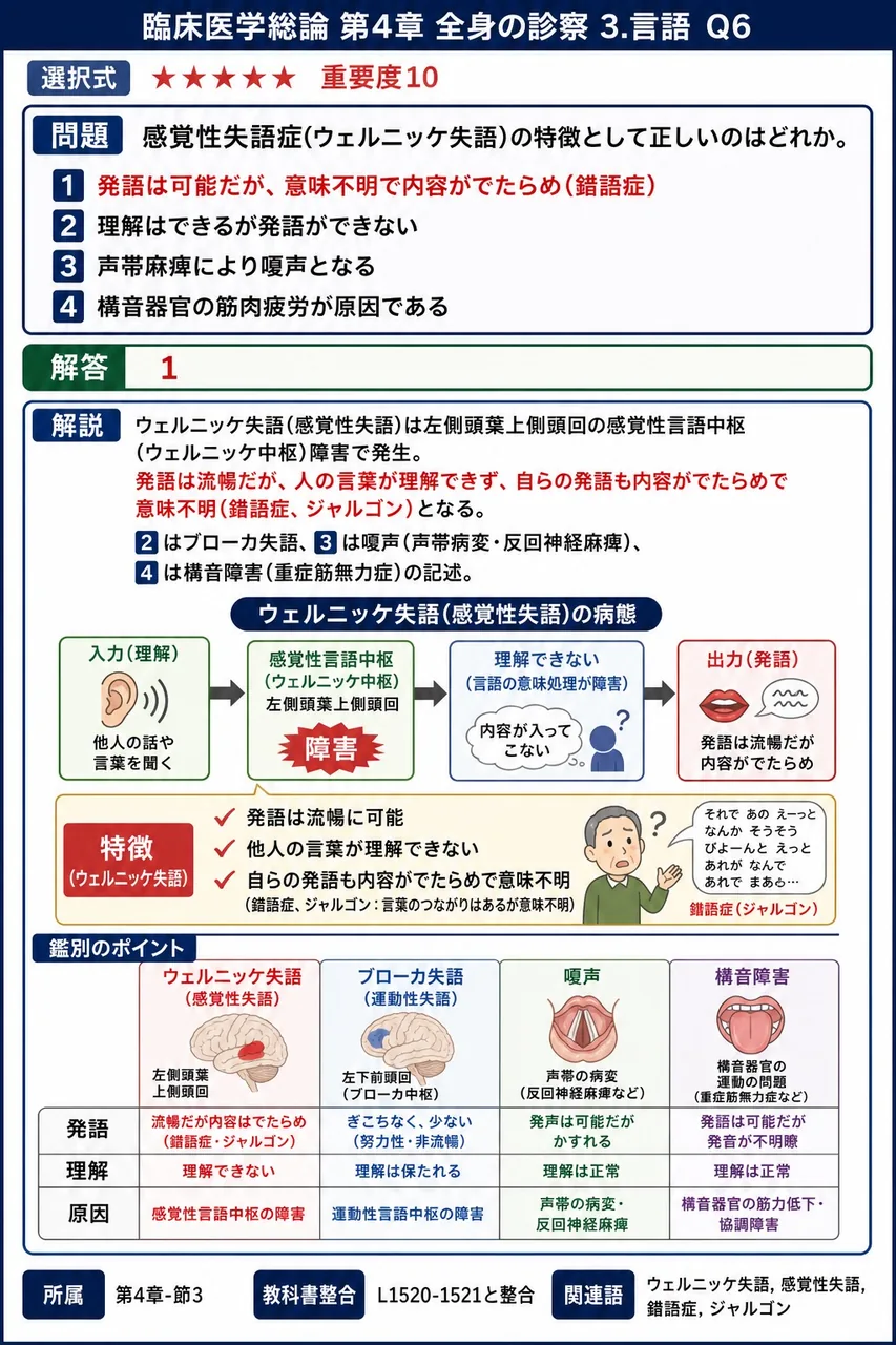感覚性失語症(ウェルニッケ失語)の特徴として正しいのはどれか。 解説図