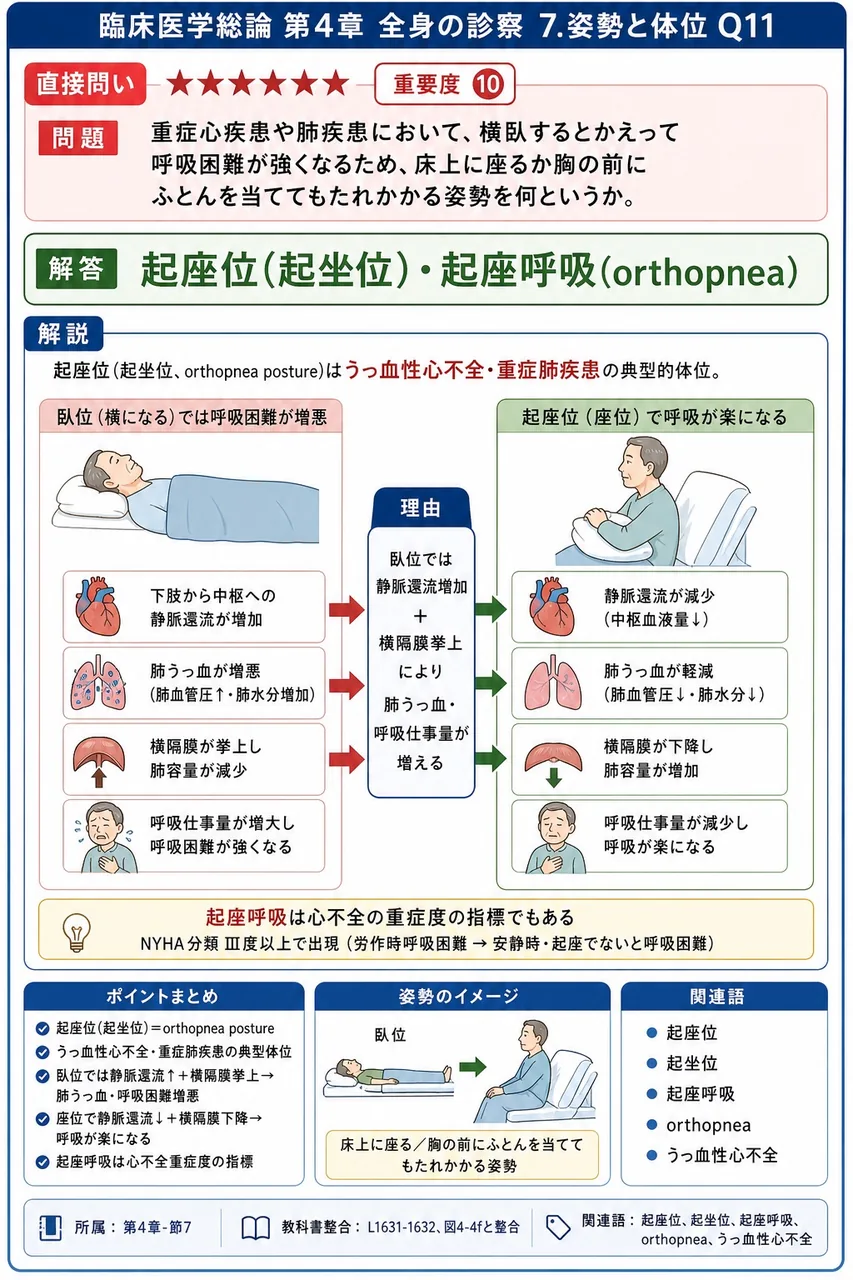重症心疾患や肺疾患において、横臥するとかえって呼吸困難が強くなるため、床上に座るか胸の前にふとんを当ててもたれかかる姿勢を何というか。 解説図