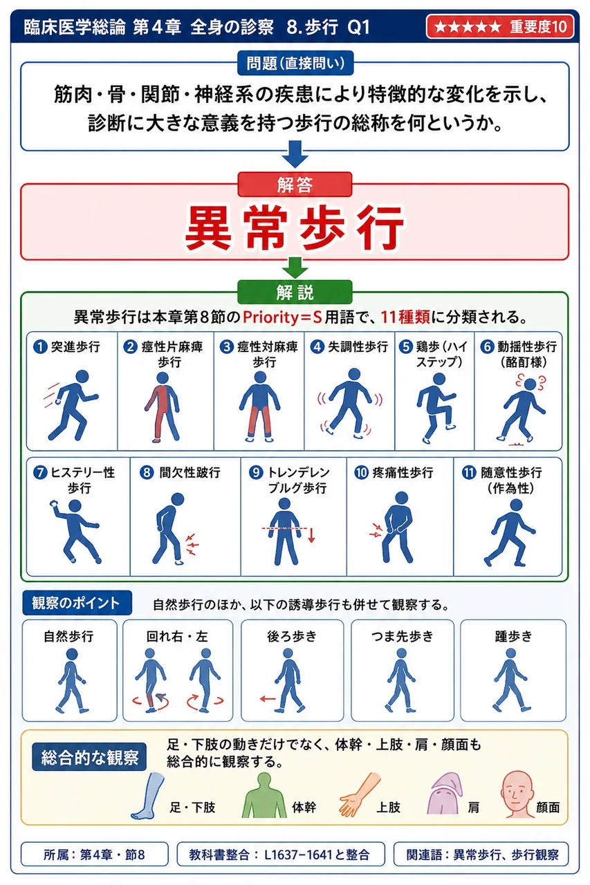 筋肉・骨・関節・神経系の疾患により特徴的な変化を示し、診断に大きな意義を持つ歩行の総称を何というか。 解説図