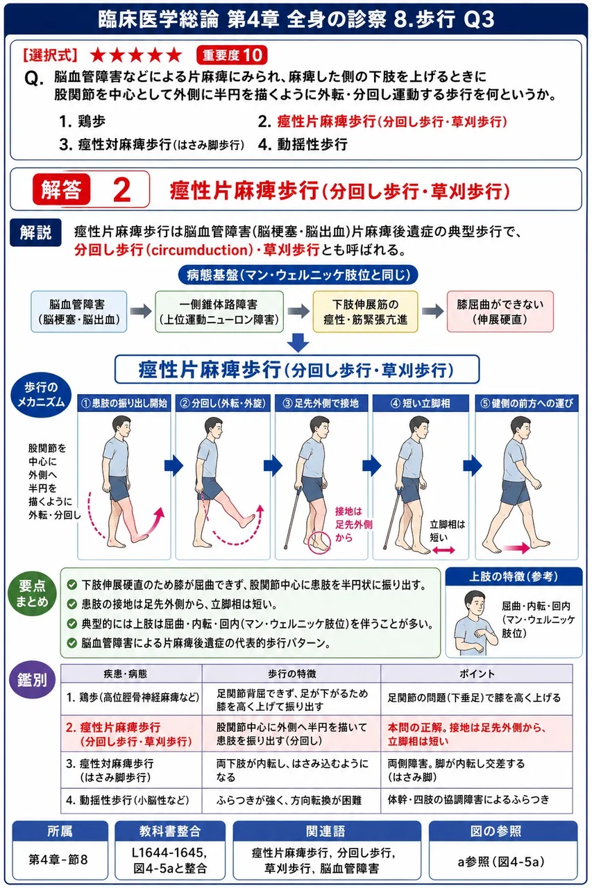 脳血管障害などによる片麻痺にみられ、麻痺した側の下肢を上げるときに股関節を中心として外側に半円を描くように外転・分回し運動する歩行を何というか。 解説図