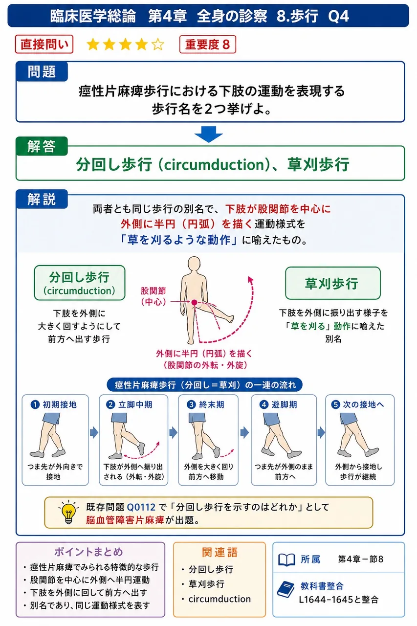 痙性片麻痺歩行における下肢の運動を表現する歩行名を2つ挙げよ。 解説図