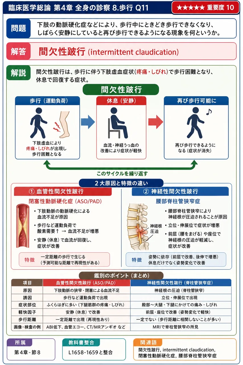下肢の動脈硬化症などにより、歩行中にときどき歩行できなくなり、しばらく安静にしていると再び歩行できるようになる現象を何というか。 解説図