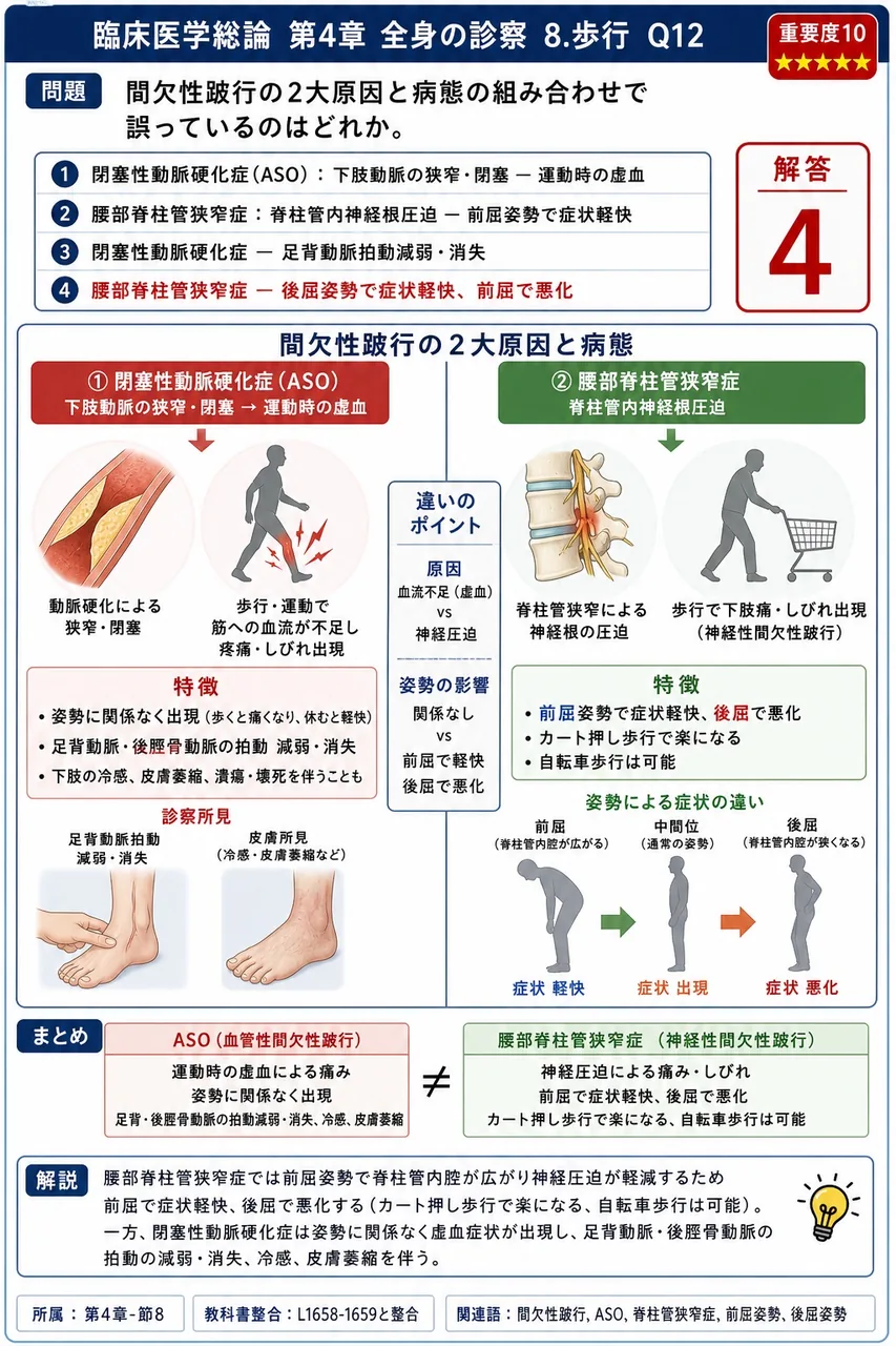 間欠性跛行の2大原因と病態の組み合わせで誤っているのはどれか。 解説図