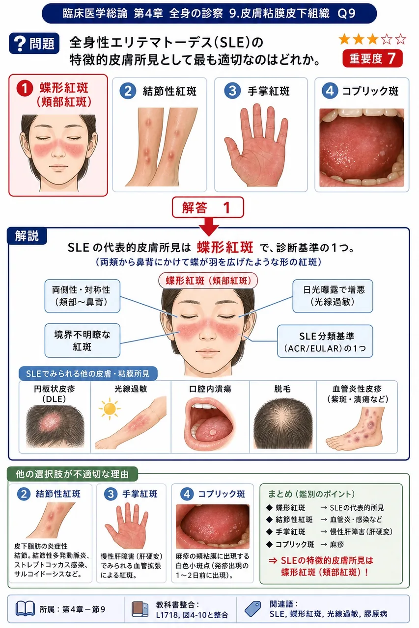 全身性エリテマトーデス(SLE)の特徴的皮膚所見として最も適切なのはどれか。 解説図