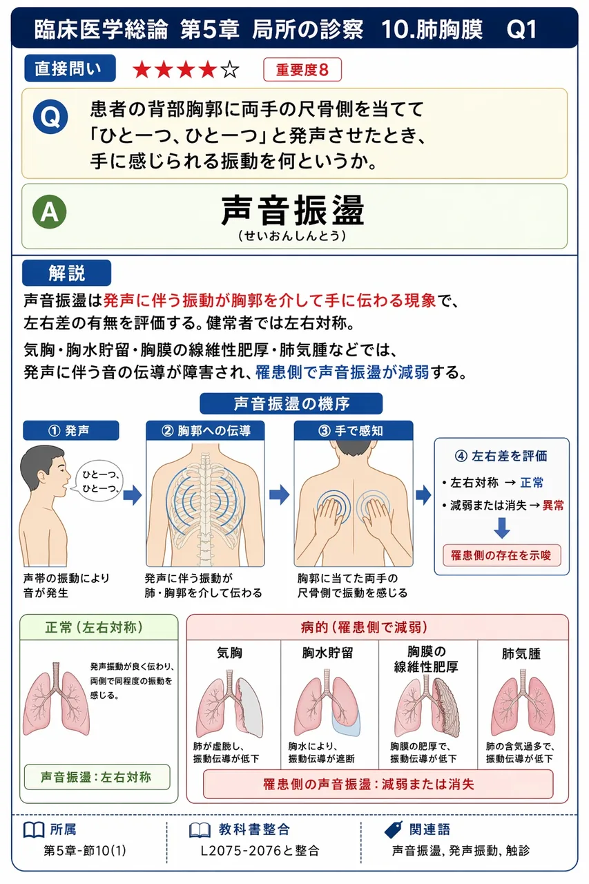 患者の背部胸郭に両手の尺骨側を当てて「ひと一つ、ひと一つ」と発声させたとき、手に感じられる振動を何というか。 解説図