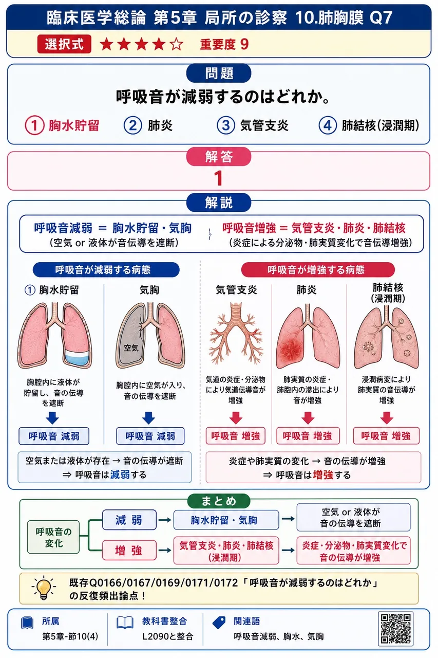 呼吸音が減弱するのはどれか。 解説図