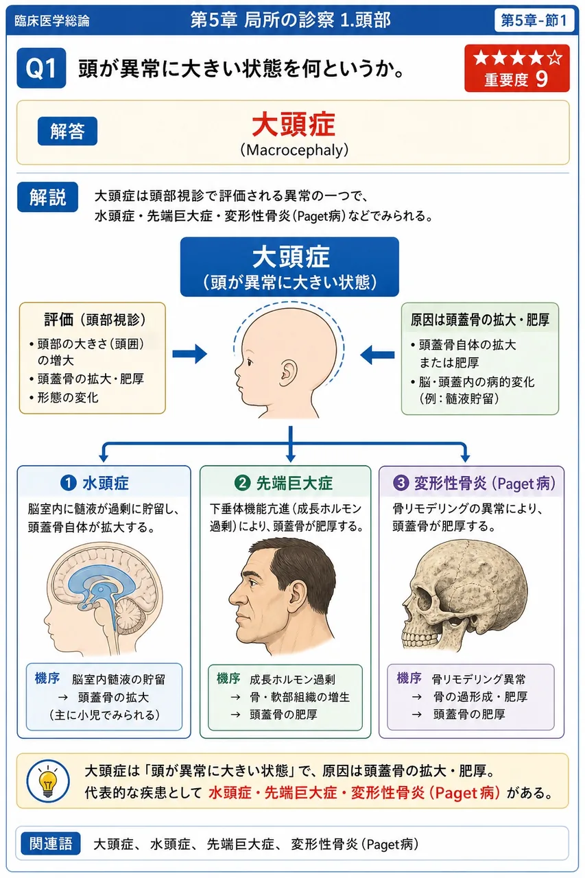 頭が異常に大きい状態を何というか。 解説図