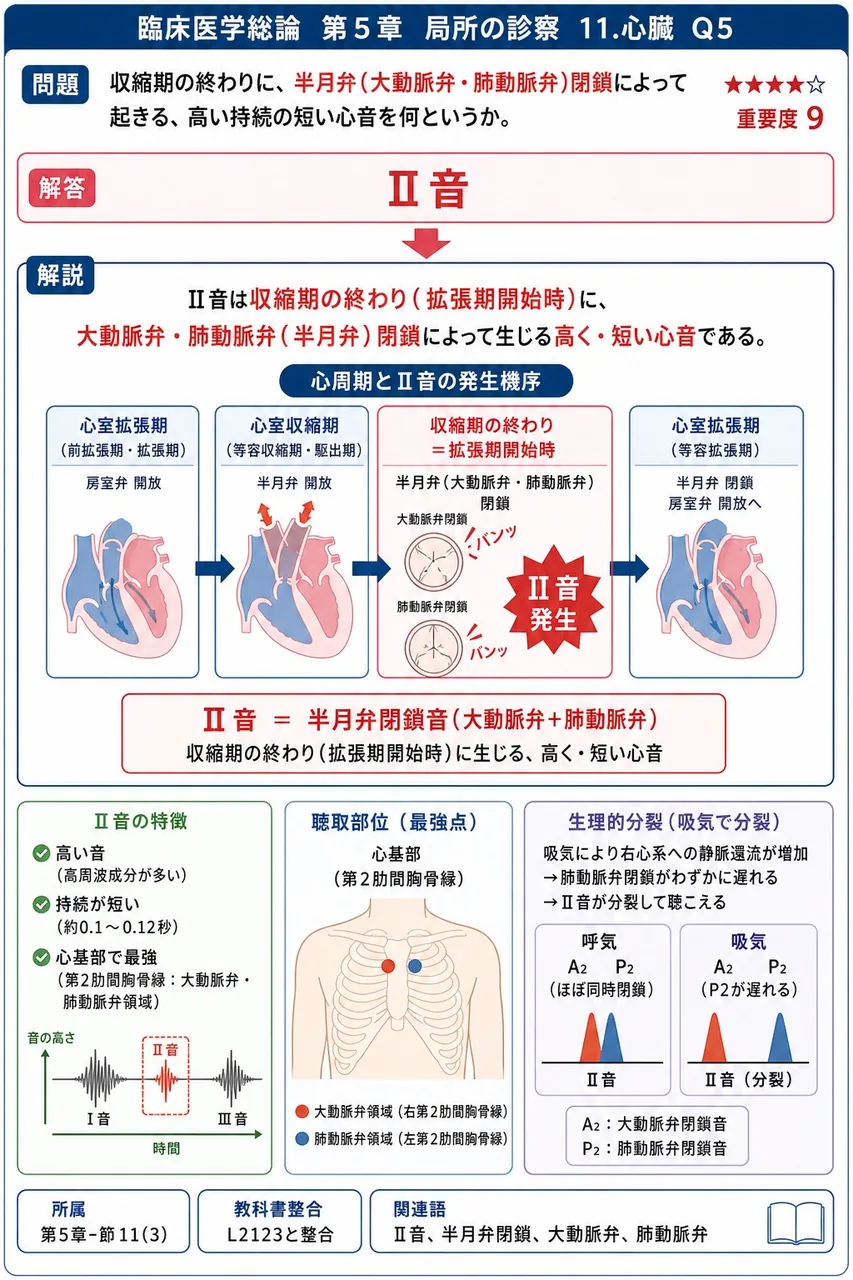 収縮期の終わりに、半月弁(大動脈弁・肺動脈弁)閉鎖によって起きる、高い持続の短い心音を何というか。 解説図