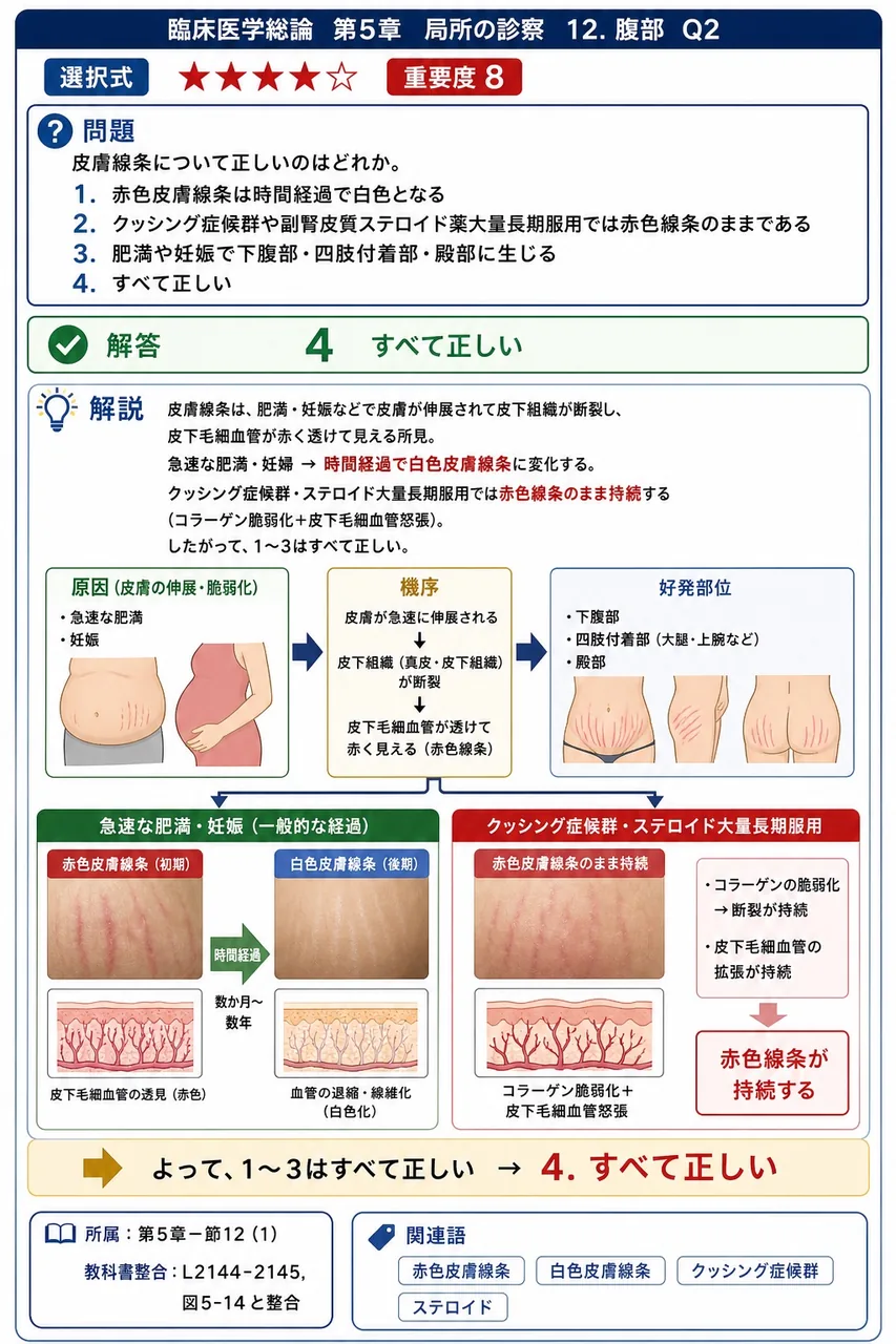 皮膚線条について正しいのはどれか。 解説図