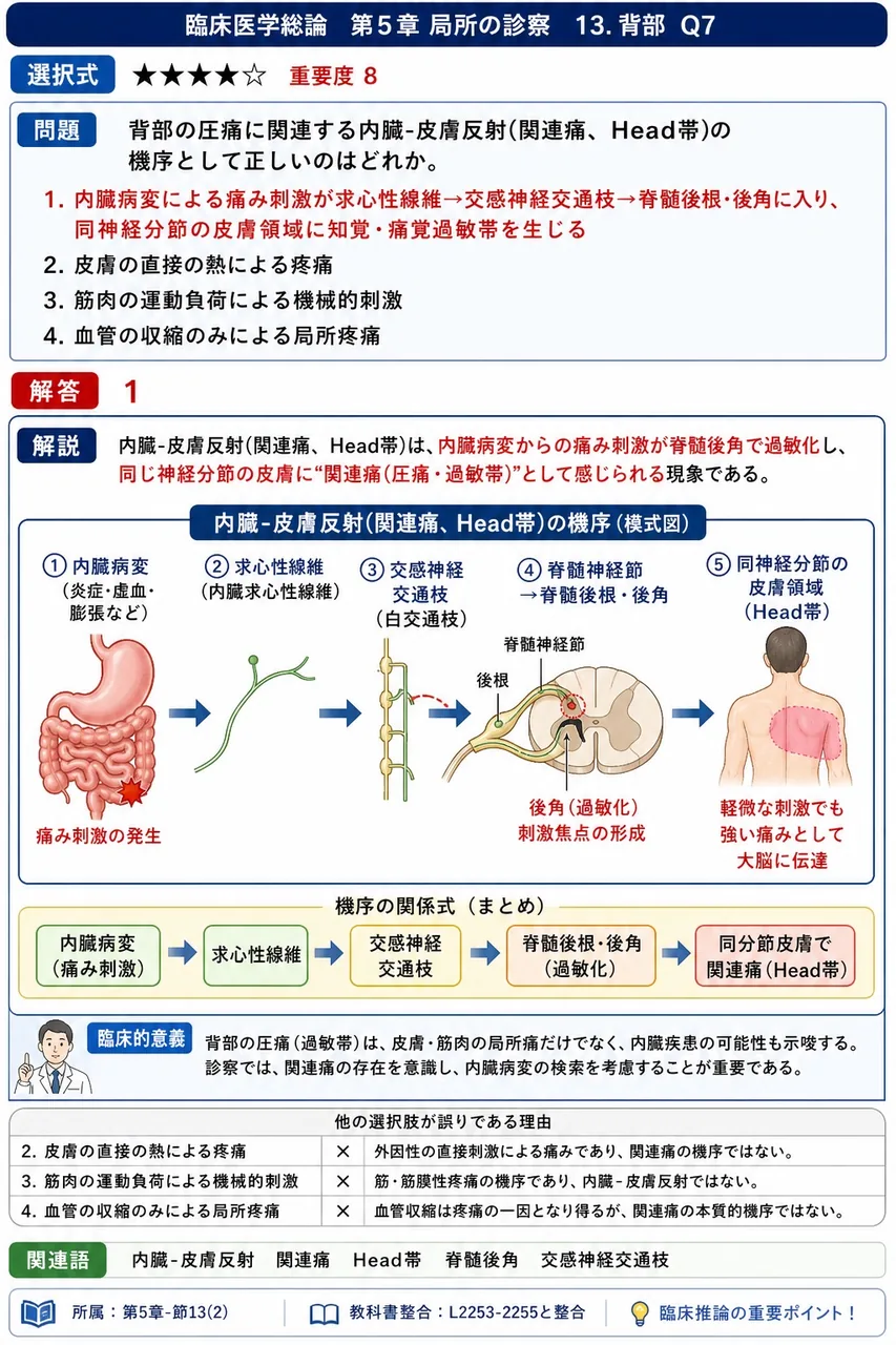 背部の圧痛に関連する内臓-皮膚反射(関連痛、Head帯)の機序として正しいのはどれか。 解説図