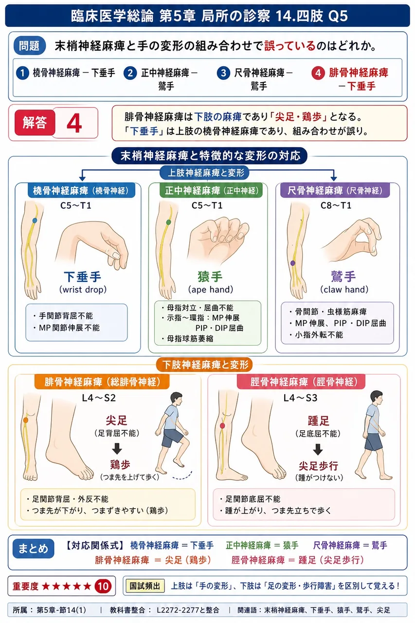 末梢神経麻痺と手の変形の組み合わせで誤っているのはどれか。 解説図