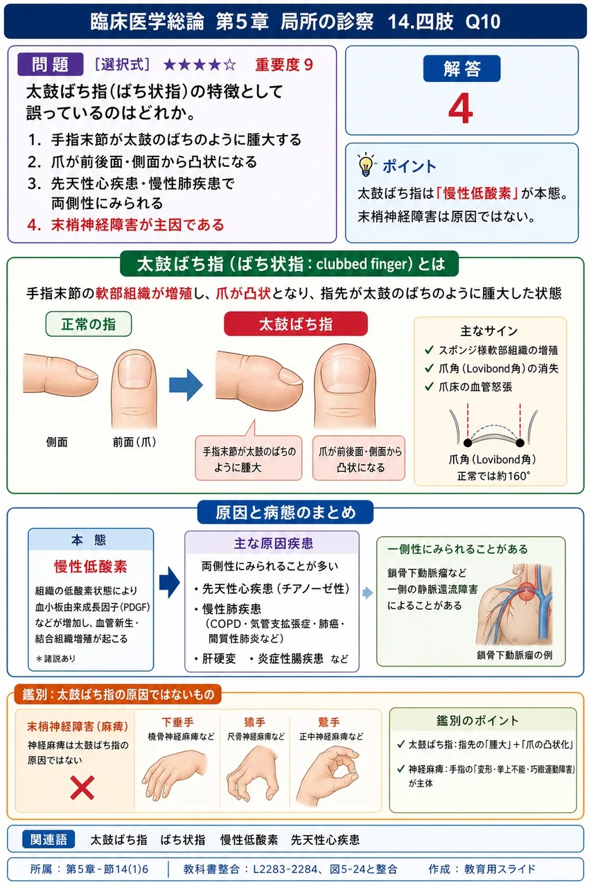 太鼓ばち指(ばち状指)の特徴として誤っているのはどれか。 解説図