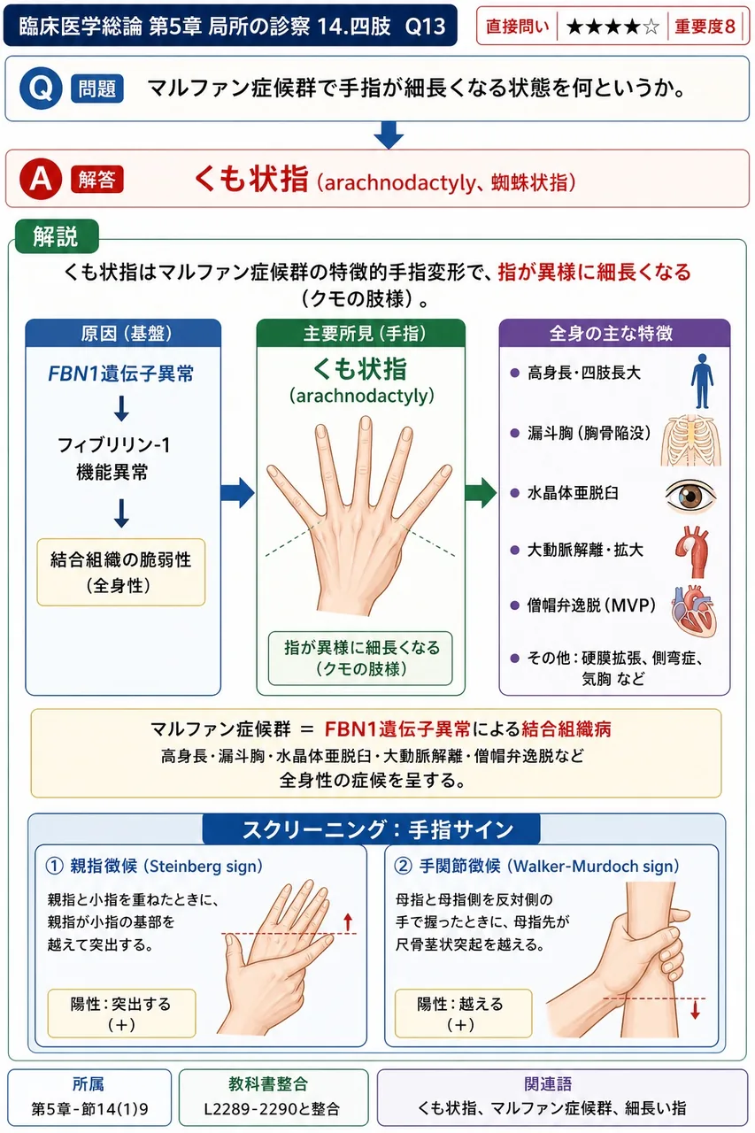 マルファン症候群で手指が細長くなる状態を何というか。 解説図