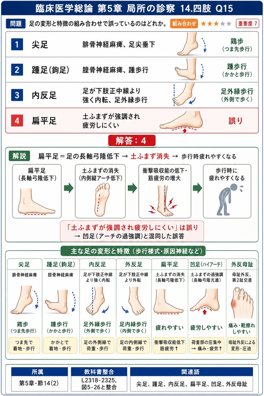 足の変形と特徴の組み合わせで誤っているのはどれか。 解説図