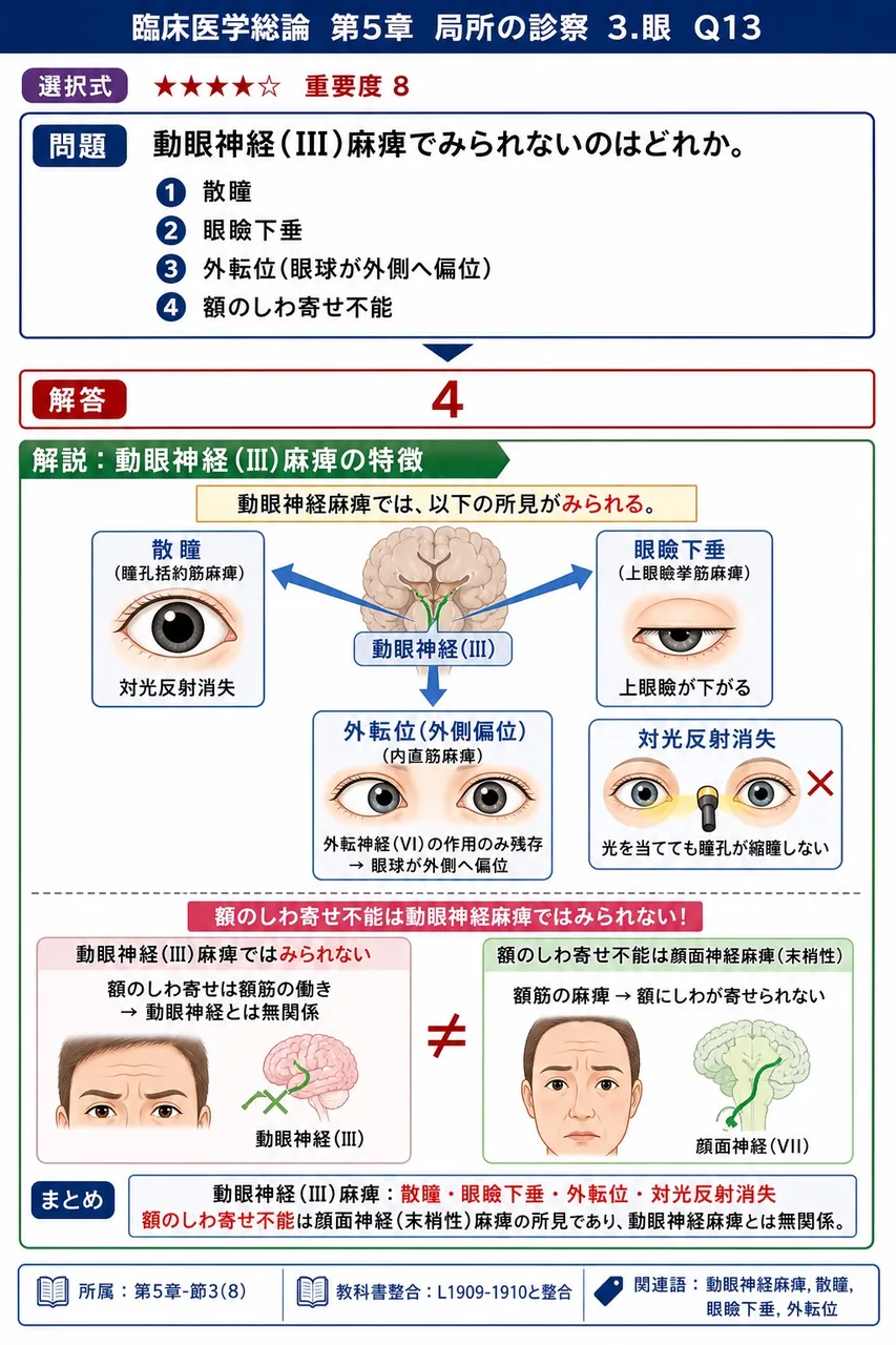 動眼神経(III)麻痺でみられないのはどれか。 解説図