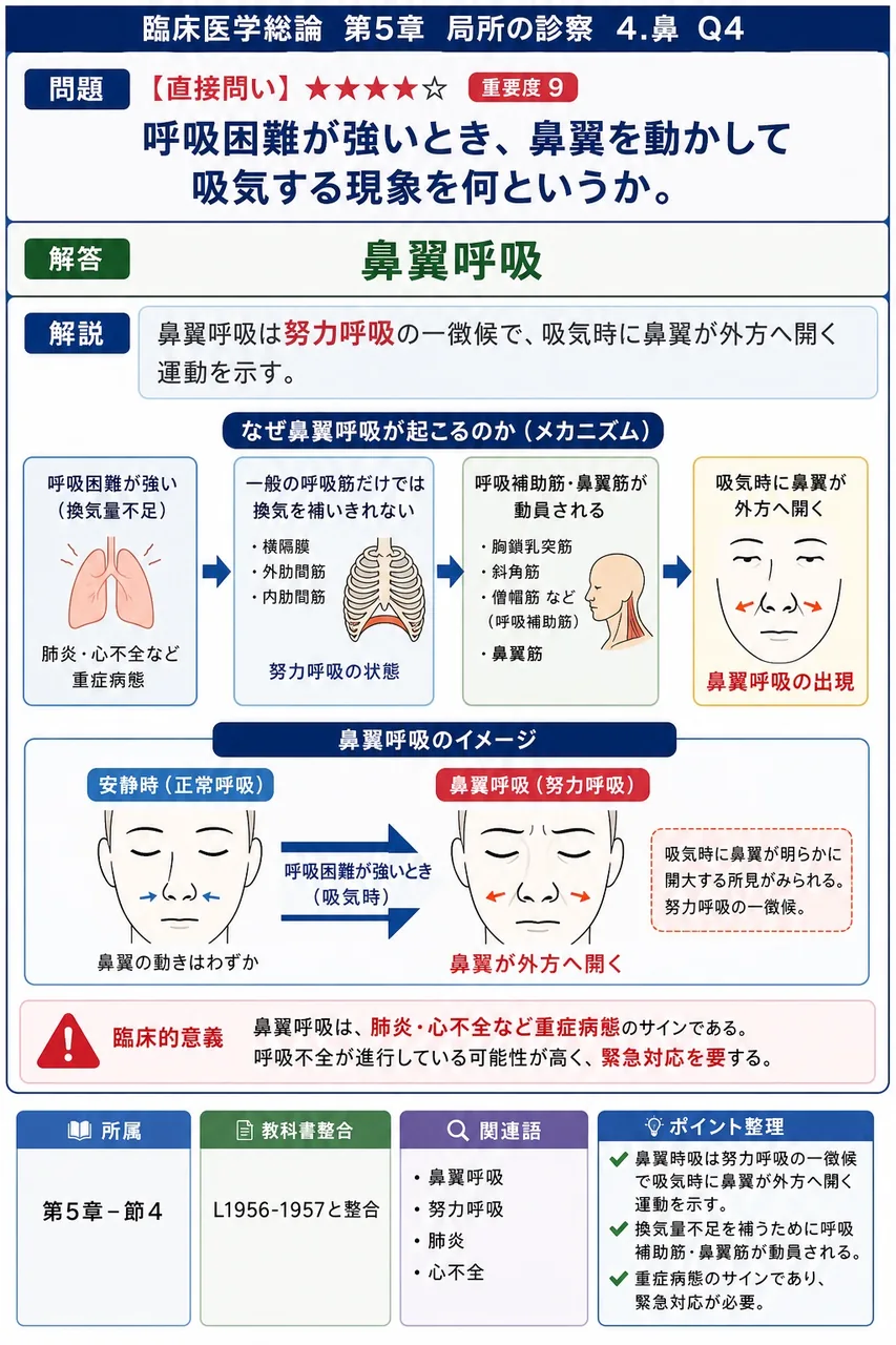 呼吸困難が強いとき、鼻翼を動かして吸気する現象を何というか。 解説図