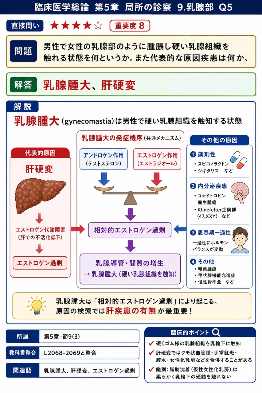 男性で女性の乳房のように腫脹し硬い乳腺組織を触れる状態を何というか。また代表的な原因疾患は何か。 解説図