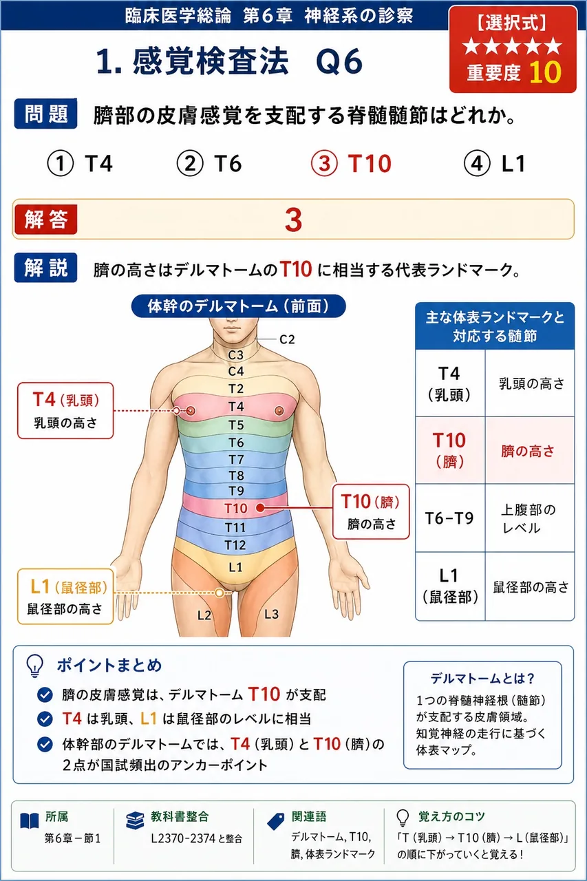 臍部の皮膚感覚を支配する脊髄髄節はどれか。 解説図