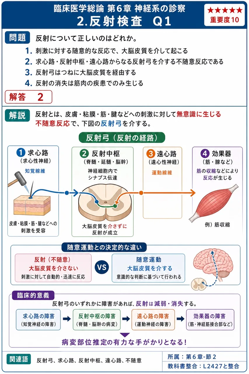 反射について正しいのはどれか。 解説図