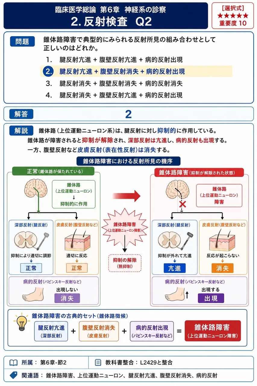 錐体路障害で典型的にみられる反射所見の組み合わせとして正しいのはどれか。 解説図