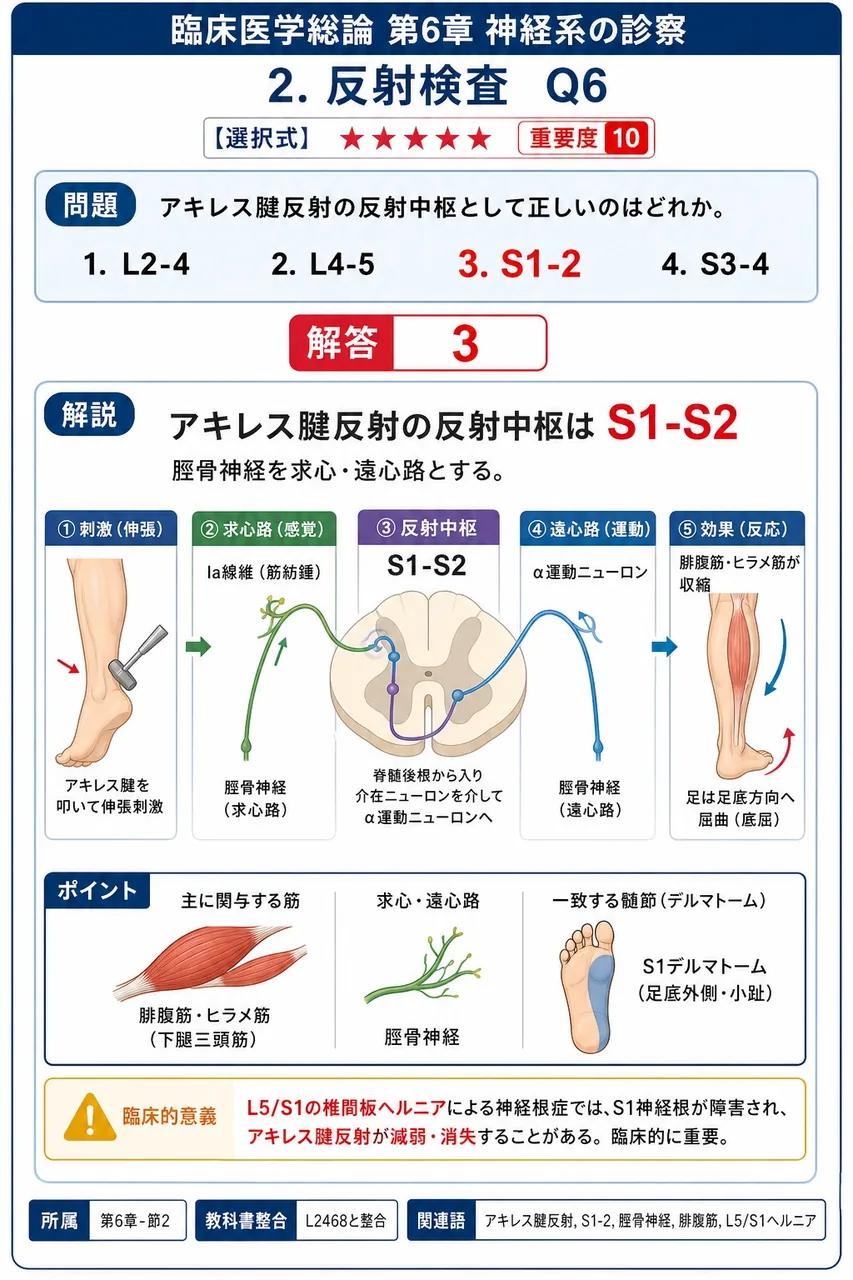 アキレス腱反射の反射中枢として正しいのはどれか。 解説図