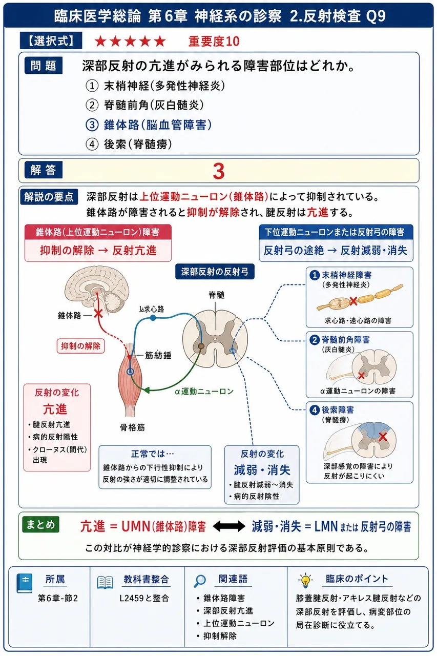 深部反射の亢進がみられる障害部位はどれか。 解説図