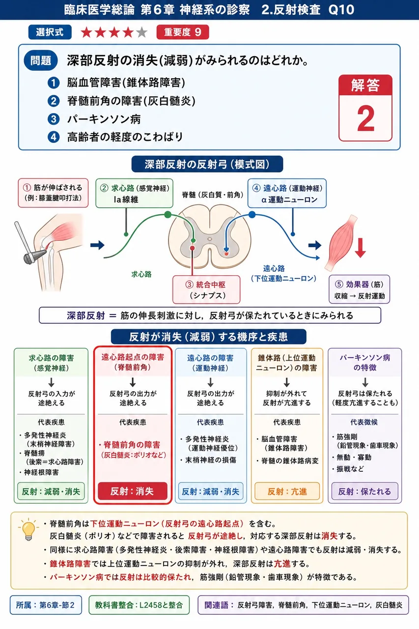 深部反射の消失(減弱)がみられるのはどれか。 解説図