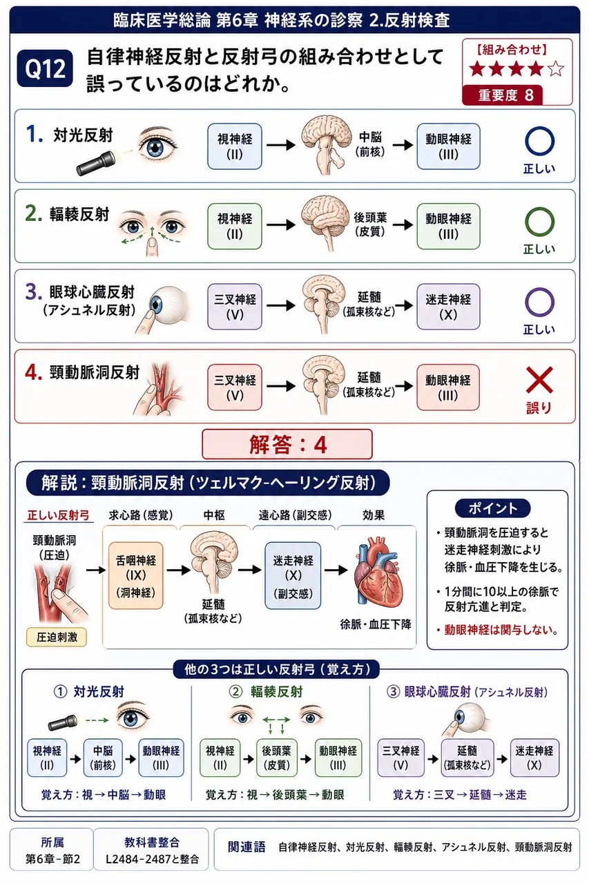 自律神経反射と反射弓の組み合わせとして誤っているのはどれか。 解説図