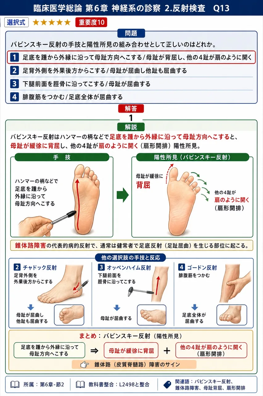 バビンスキー反射の手技と陽性所見の組み合わせとして正しいのはどれか。 解説図