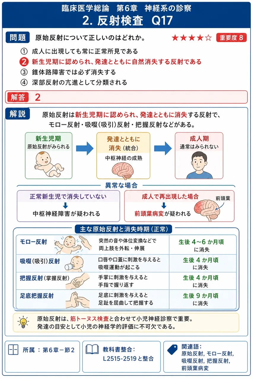 原始反射について正しいのはどれか。 解説図