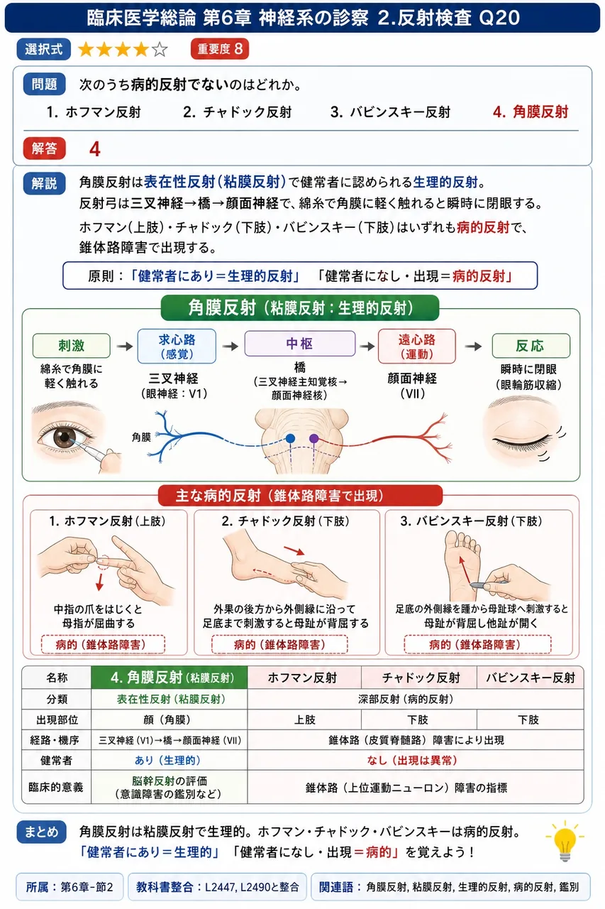 次のうち病的反射でないのはどれか。 解説図