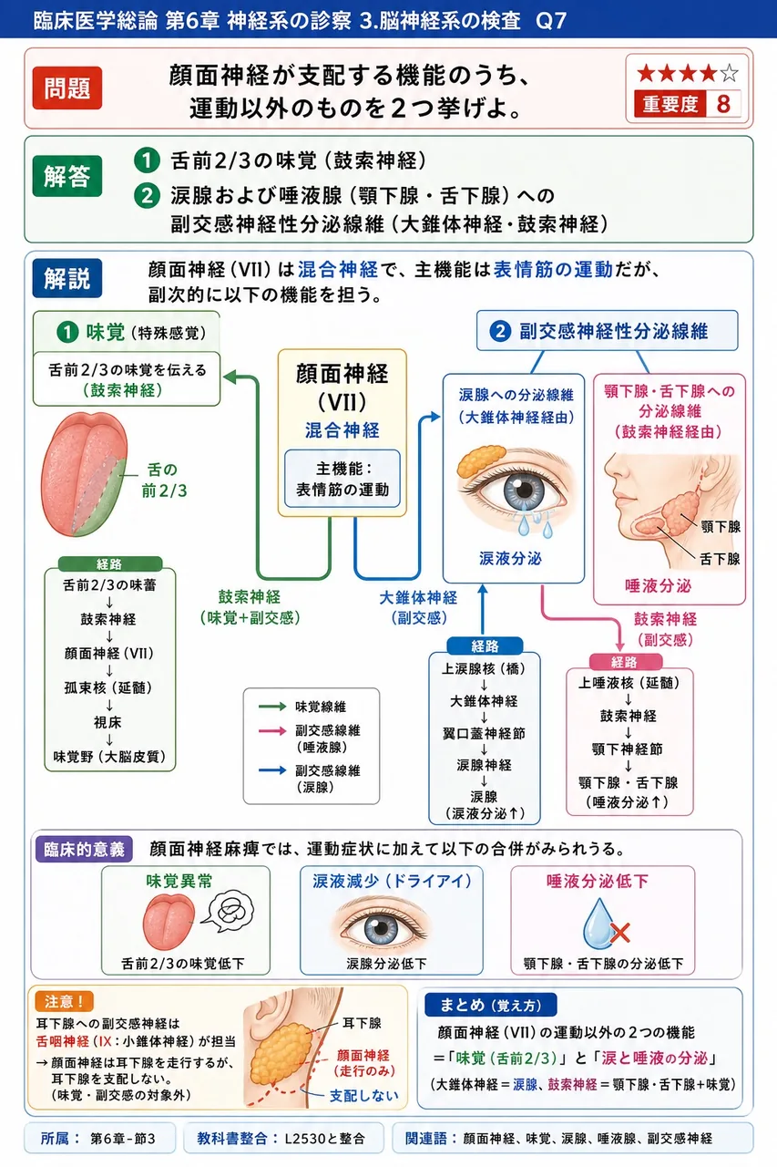 顔面神経が支配する機能のうち、運動以外のものを2つ挙げよ。 解説図