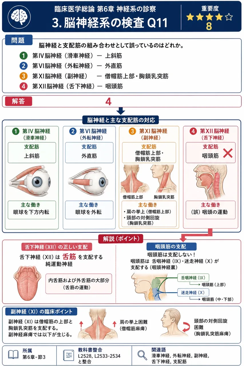 脳神経と支配筋の組み合わせとして誤っているのはどれか。 解説図