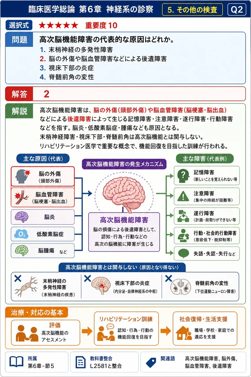 高次脳機能障害の代表的な原因はどれか。 解説図