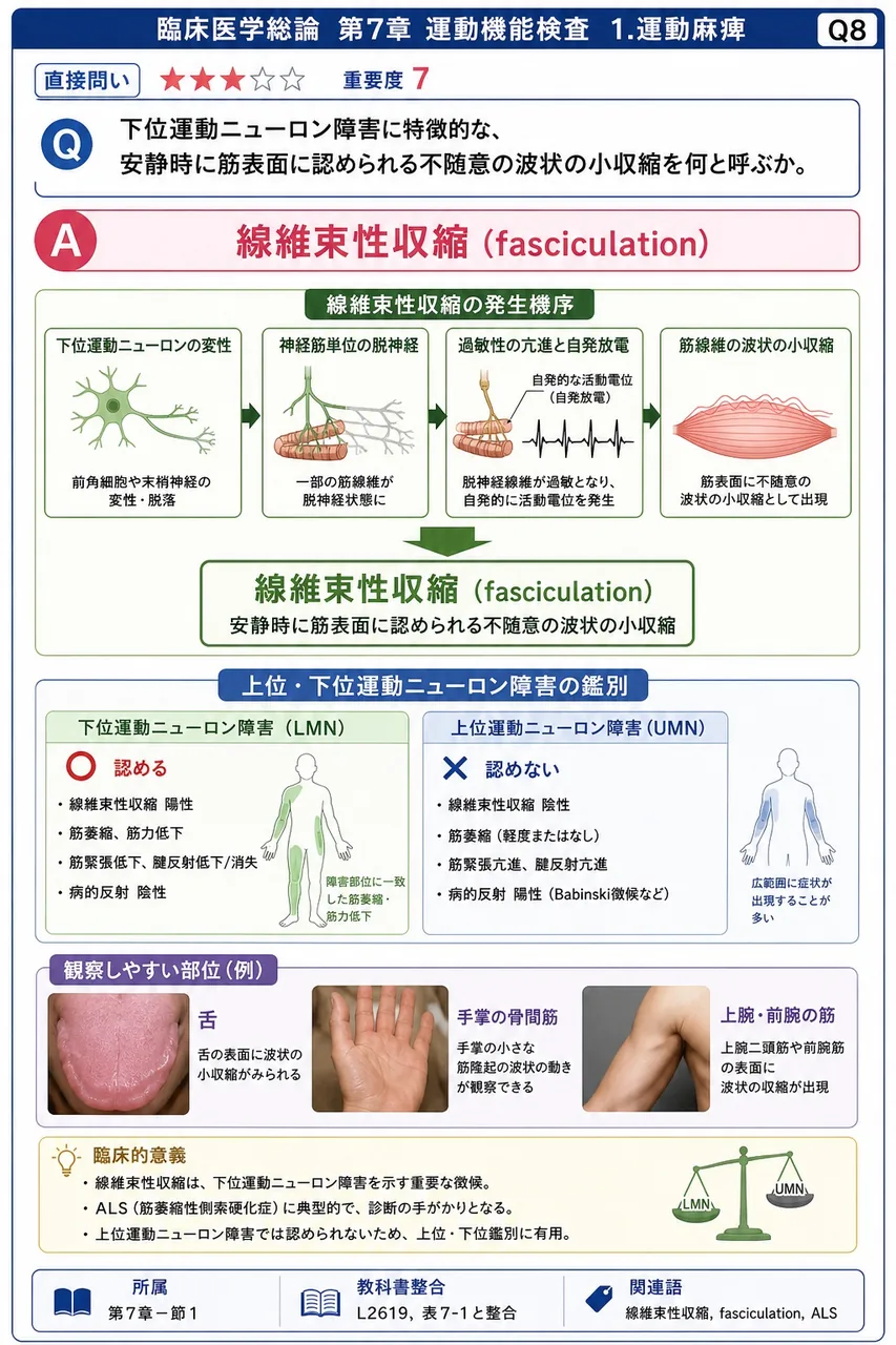 下位運動ニューロン障害に特徴的な、安静時に筋表面に認められる不随意の波状の小収縮を何と呼ぶか。 解説図