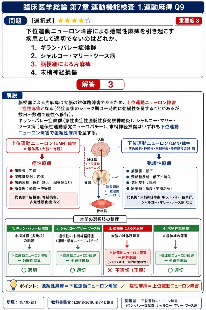 下位運動ニューロン障害による弛緩性麻痺を引き起こす疾患として適切でないのはどれか。 解説図