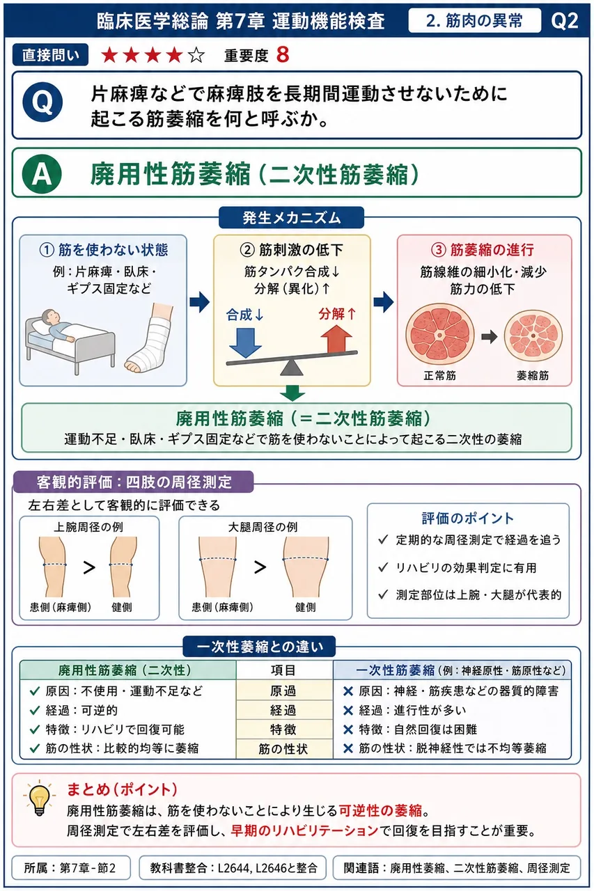 片麻痺などで麻痺肢を長期間運動させないために起こる筋萎縮を何と呼ぶか。 解説図