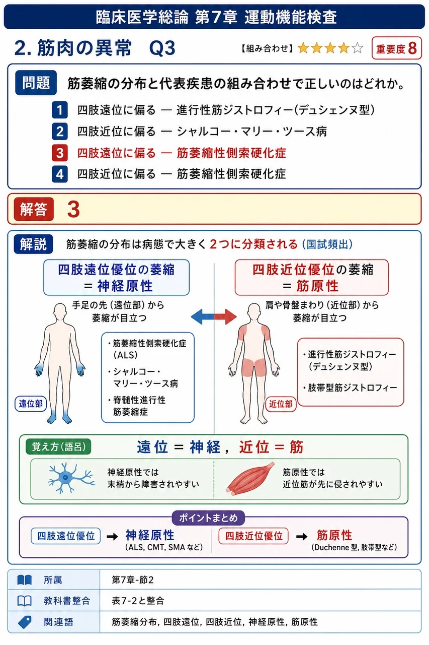 筋萎縮の分布と代表疾患の組み合わせで正しいのはどれか。 解説図