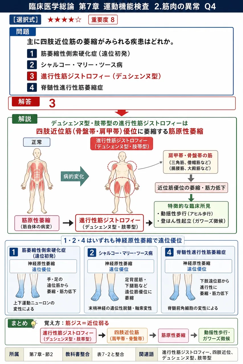 主に四肢近位筋の萎縮がみられる疾患はどれか。 解説図
