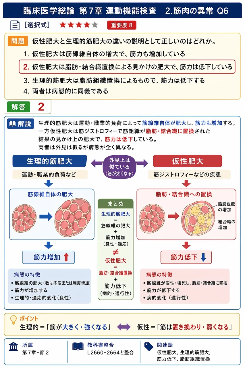 仮性肥大と生理的筋肥大の違いの説明として正しいのはどれか。 解説図