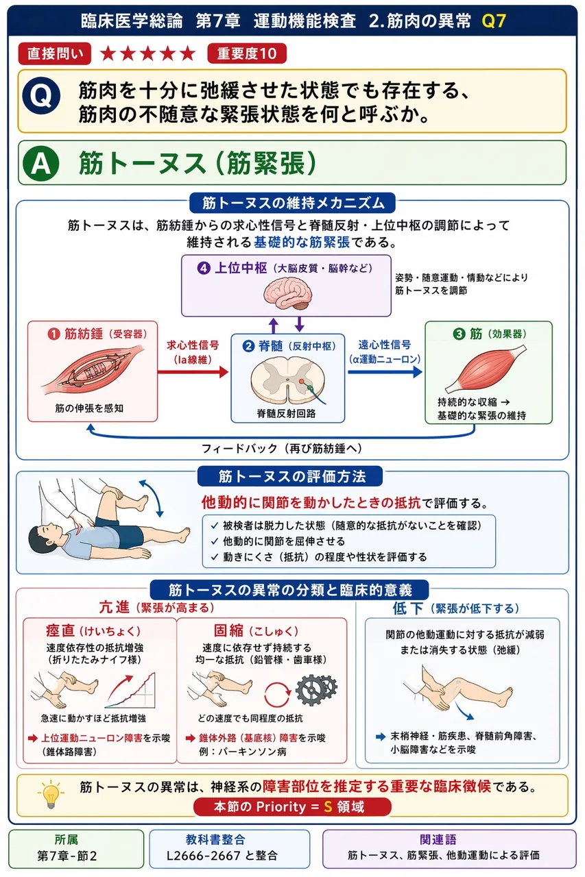 筋肉を十分に弛緩させた状態でも存在する、筋肉の不随意な緊張状態を何と呼ぶか。 解説図