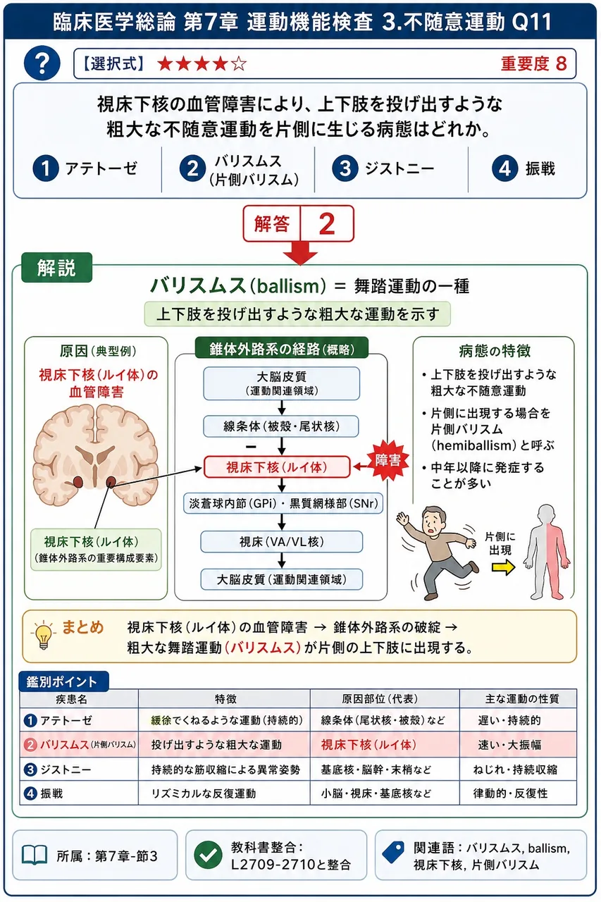 視床下核の血管障害により、上下肢を投げ出すような粗大な不随意運動を片側に生じる病態はどれか。 解説図