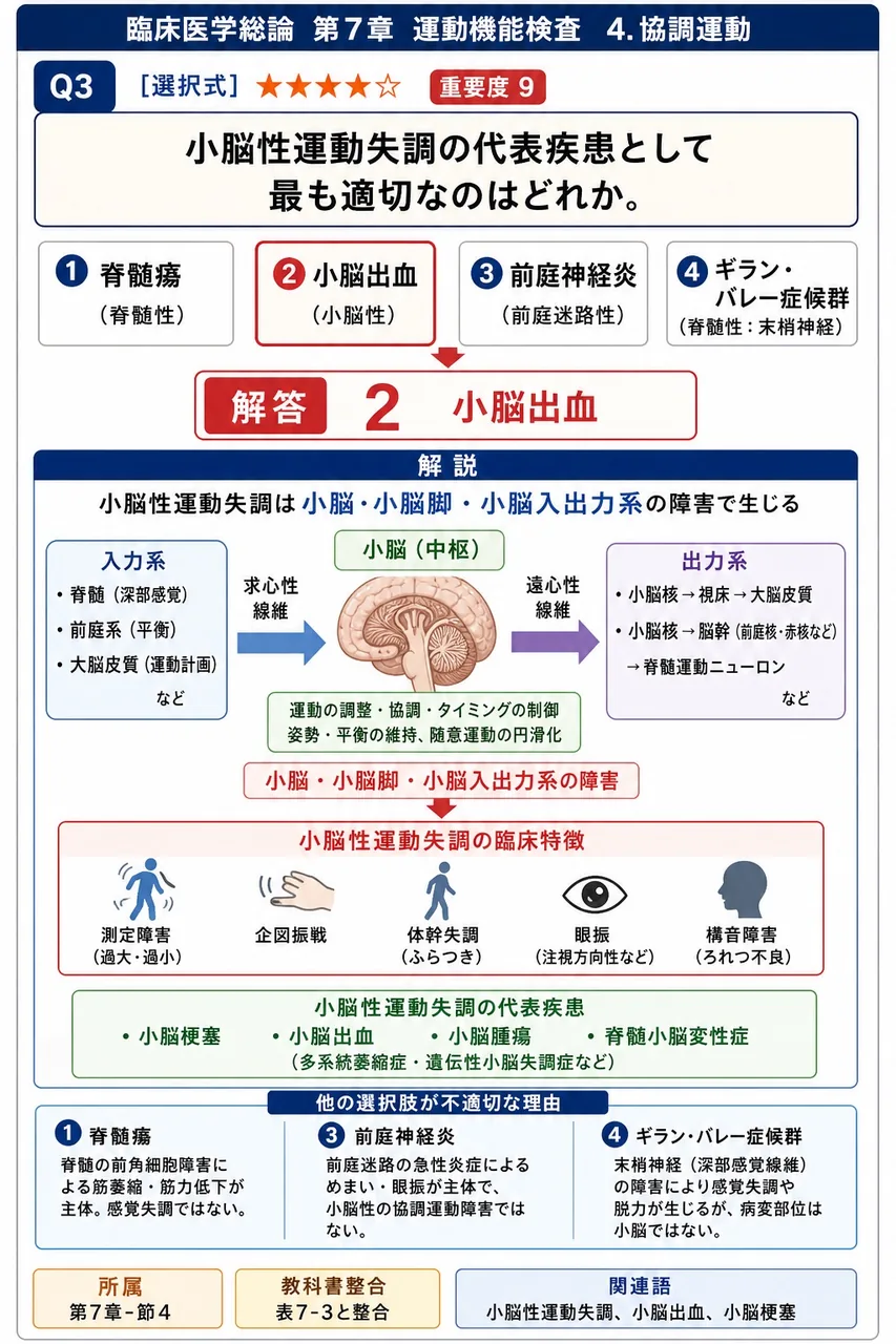 小脳性運動失調の代表疾患として最も適切なのはどれか。 解説図