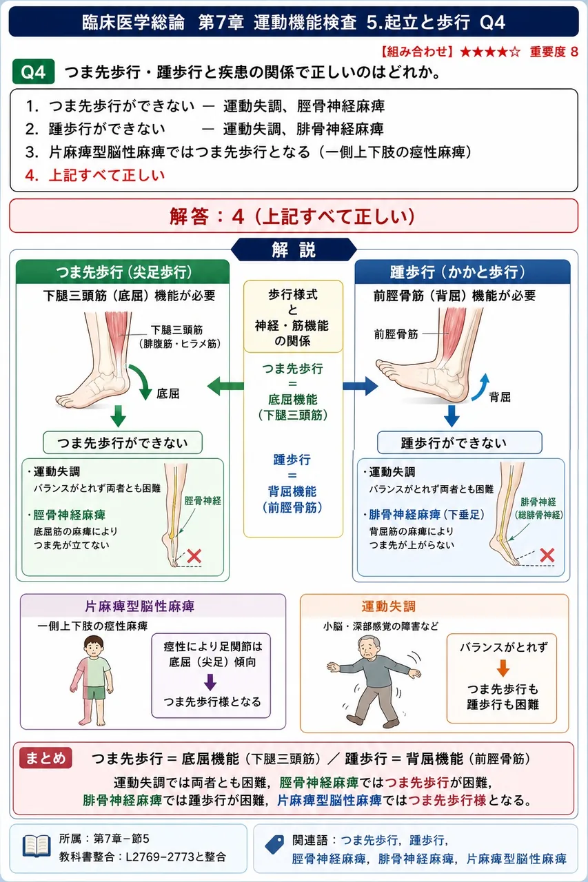 つま先歩行・踵歩行と疾患の関係で正しいのはどれか。 解説図