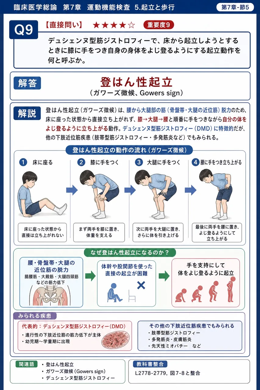 デュシェンヌ型筋ジストロフィーで、床から起立しようとするときに膝に手をつき自身の身体をよじ登るようにする起立動作を何と呼ぶか。 解説図