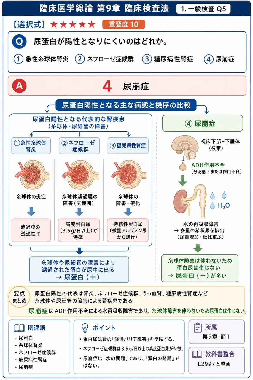 尿蛋白が陽性となりにくいのはどれか。 解説図