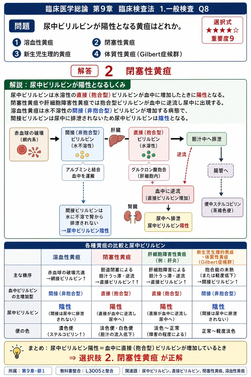 尿中ビリルビンが陽性となる黄疸はどれか。 解説図